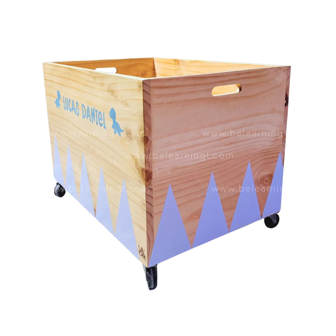 Cajón de juguetes Grande