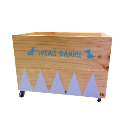 Cajón de juguetes Grande