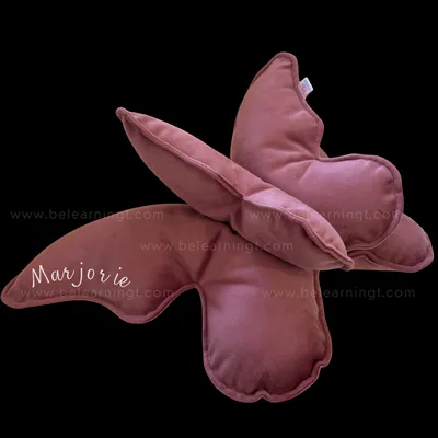 Cojines decorativos -Mariposa (unidad)